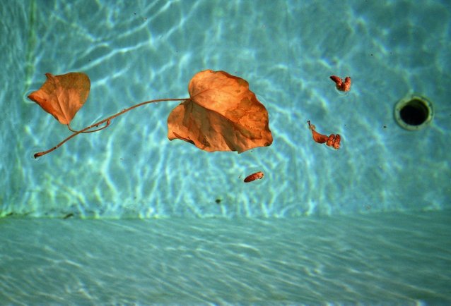 skimmer piscina